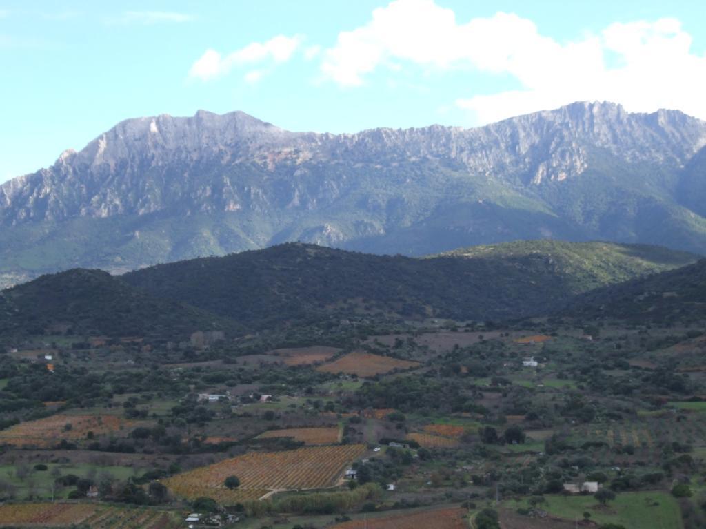 Agriturismo Locoe Oliena Exterior foto